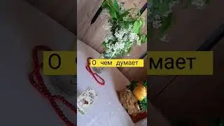 о чем думает 
