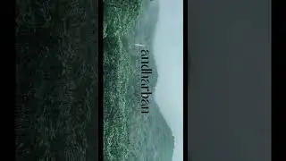 ANDHARBHAN jungle trek #andharban #maharashtratourism #maharashtra #monsoon #trekkers
