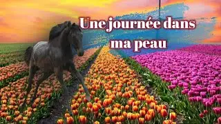 Une journée dans ma peau. Reprise du travail !