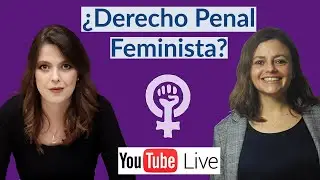 Derecho Penal y Feminismo