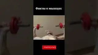 Факты о мышцах