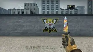 My new knife and gloves #CSGO