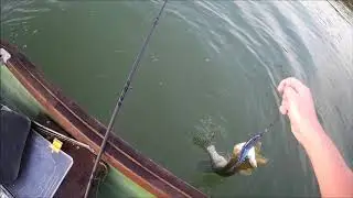 Csuka Savage Gear 4playv2 swimbaitre