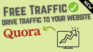 Best way to drive traffic to your website for free 2021