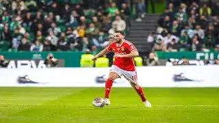 Orkun Kokcu - Benfica Highlights || 2024