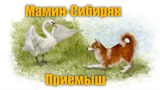 Мамин-Сибиряк 