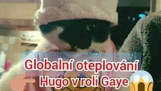 Globální oteplování | fotky mého kocoura|