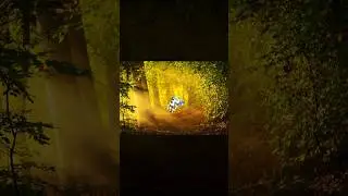 Как вам? 