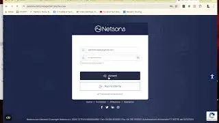 Come acquistare un dominio libero su Netsons