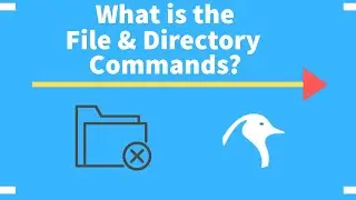 What are the Commands for File and Directory of Virtual Server? Guideline by AAG Developer