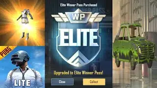 winner pass