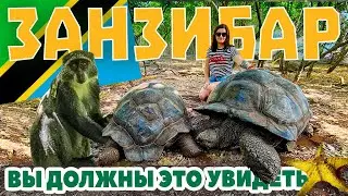 Занзибар. Самые красивые места на острове