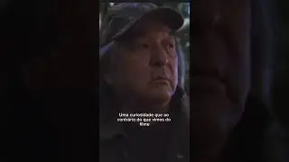 A HISTÓRIA DA LEAH CLEARWATER DE CREPÚSCULO