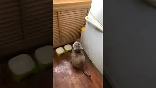 Общаемся с Бусей🌈✨🥀🌟🌊