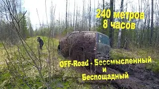 Второй день: В поисках грибов 