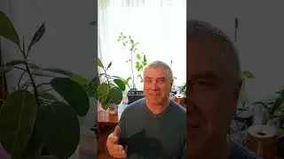 Презентация продажи цветов и комнатных растений в Уверен и Готов
