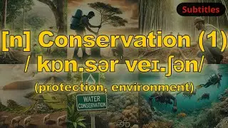 [n] Conservation meaning (protection, environment) with 5 examples