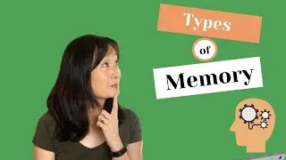 What are the 3 Types of Memory?