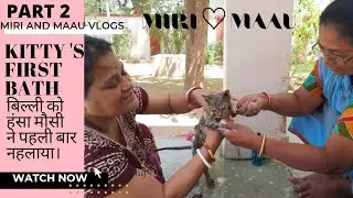 Post bath reaction|Miri's 1 st bath at our home|Part 2|बिल्ली के बच्चे को पहली बार नहलाया।