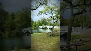 Toronto Islands || Centre Island || Cool and Relaxing view in Canada #toronto #torontoislands