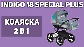 Коляска Indigo 18 Special Plus (2 в 1)