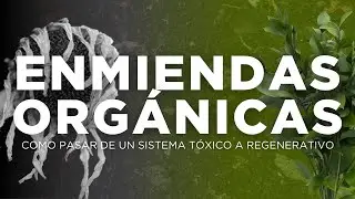 De lo QUÍMICO a lo ORGÁNICO: El cambio que tu suelo necesita