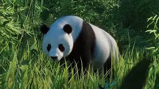 {PLANET ZOO} Giant Panda Habitat Build