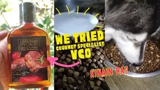 Flavored VCO Review