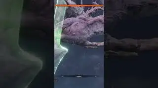 Fighting the Divine Dragon | Fountainhead Palace |Sekiro: Shadows Die Twice 