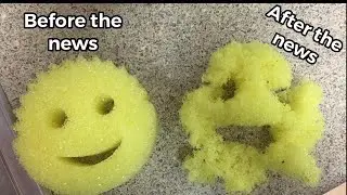Scrub Daddy and Duolingo did what?