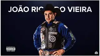 João Ricardo Vieira - Best mounts