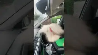 Ехууу! Каруселька😁