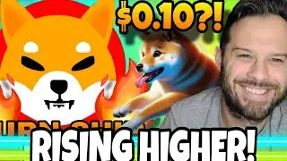 Shiba Inu Coin | SHIB Price Potential And The Dogeverse Presale!