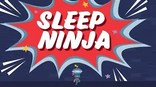 Introduction to Sleep Ninja®