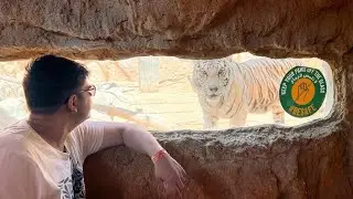 Emirates Park Zoo & Resort Abu Dhabi | Animal Feeding & Activities