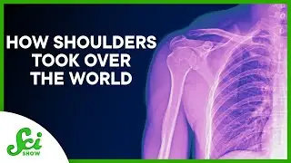 How Shoulders Took Over the World (ft. Emily Graslie!)