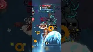 Fighting 2 Night Wanderers - Soul Knight Rosemary Island