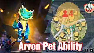 Arvon Pet Skill/Ability Test
