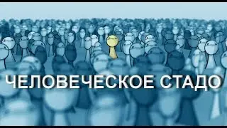 ЧЕЛОВЕЧЕСКОЕ СТАДО