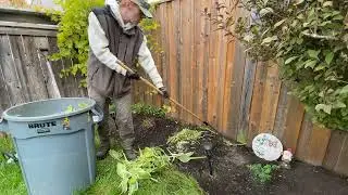 Fall GARDEN CLEANUP On A RESIDENTIAL PROPERTY (And Mowing)