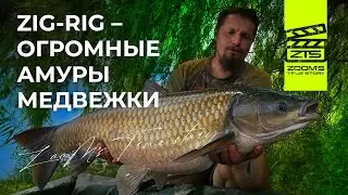 Медвежка -  Ловля амура на ZIG-RIG / Ловля карпа на Pop-Up / Кубок Мастеров 2018