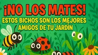Insectos beneficiosos para tu jardín: los aliados que eliminan plagas sin químicos 🐝🌱