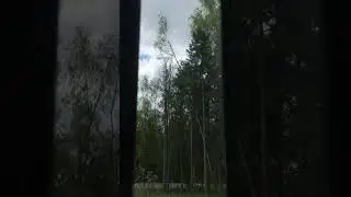 👽