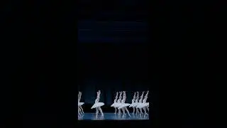 Swan Lake Act II Swans 🦢 | Artists of The Australian Ballet