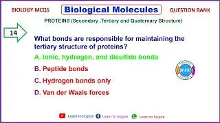 Proteins (Secondary,Tertiary and Quaternary Structure #biologicalmolecules #biologicalmoleculesmcqs