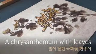 Ink painting Basic lesson 6 [Chrysanthemum]_Drawing chrysanthemum flowers with leaves