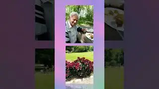 В парке .