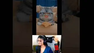 Me pyar nahi karta / payal gaming reaction funny video 🤣 / Payal gaming / Omegle #shorts