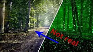 Photorealistic Forest | Made with Unity