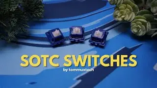 SOTC SWITCHES REVIEW by tommuxtech